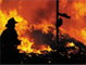 Fire Restoration