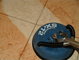 Tile & Grout Cleaning