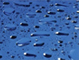 Water Damage
